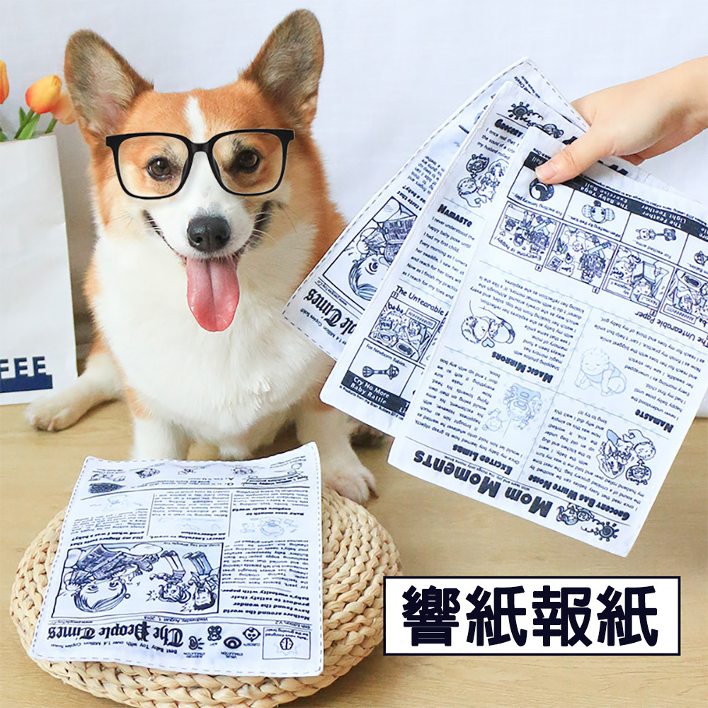【CITY STAR】A dog-friendly, loud newspaper chew toy that's durable and provides self-entertainment., , large