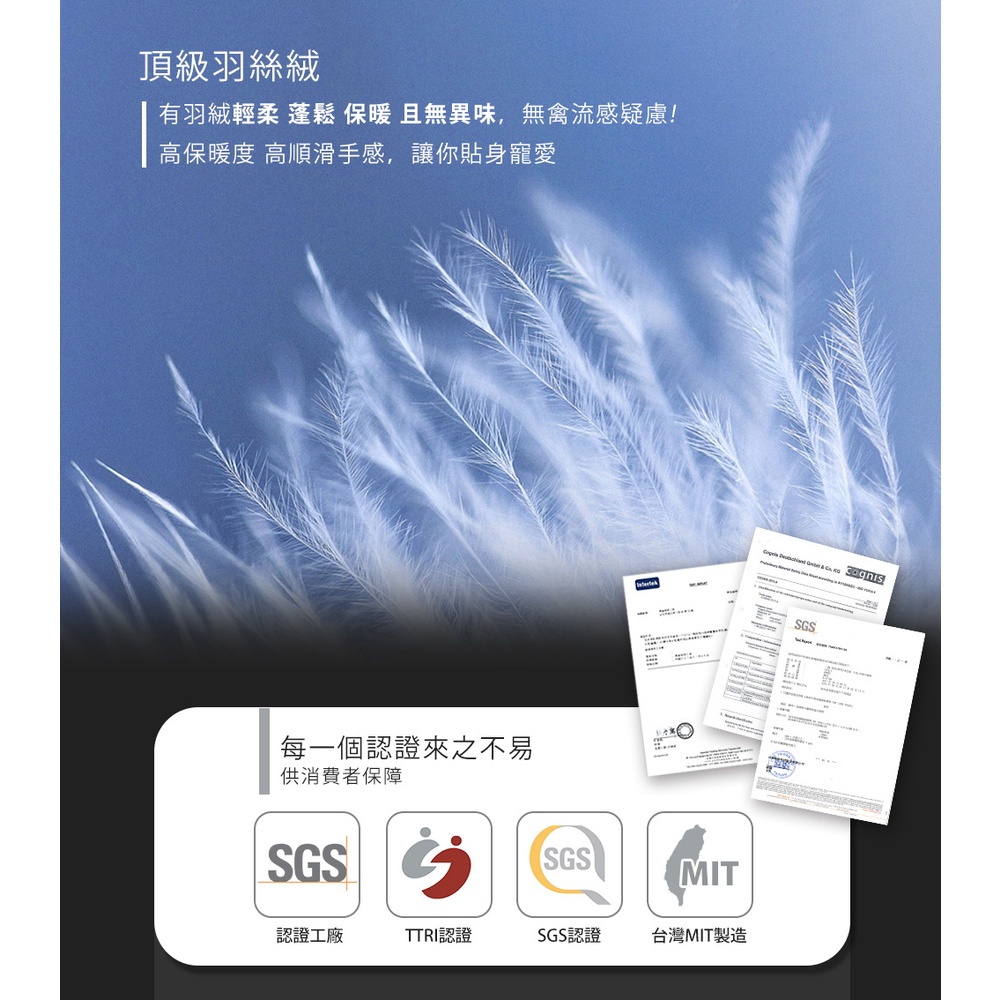 【PATTON POLO巴頓保羅】台製可水洗頂級羽絲絨被(冬被/被子/被胎), , large