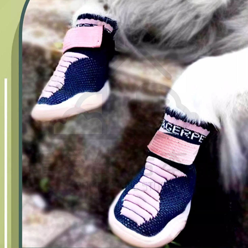 【寵愛生活本舖】寵物飛織彈力鞋 狗狗鞋子 寵物鞋 小狗鞋, , large