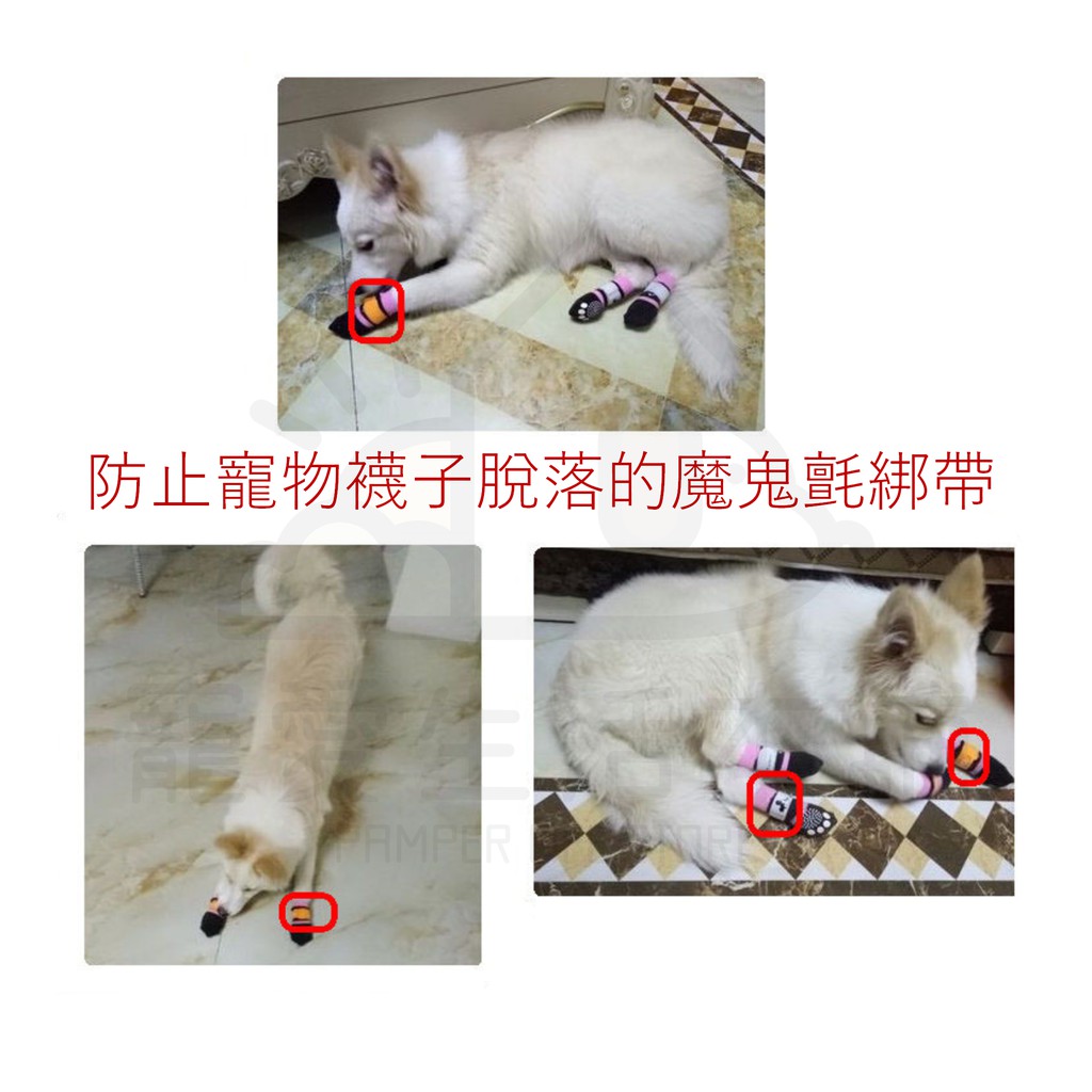 【寵愛生活本舖】彩色魔鬼氈固定帶2cm*18cm 寵物襪子固定帶 線材收納, , large