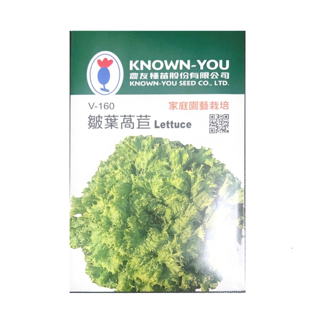【向花緣】農友 皺葉萵苣 - 蔬菜種子, , large