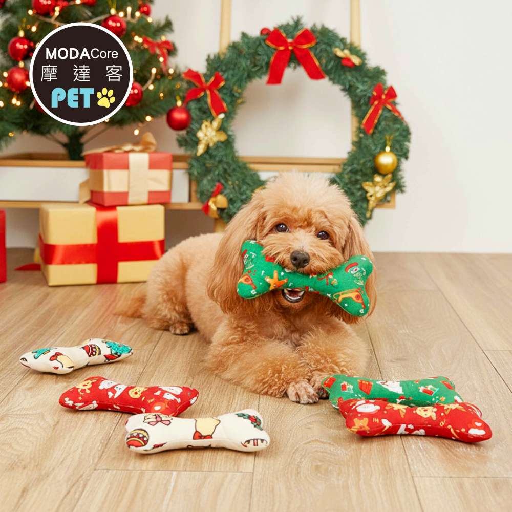 摩達客寵物-聖誕布製狗骨頭造型狗狗咬咬玩具兩入組_圖案顏色隨機出貨_發聲玩具耶誕禮物, , large