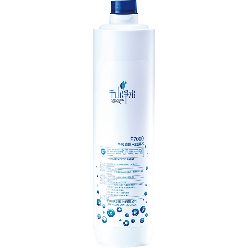 Easy Set Water Filter Cartridge P7000, , large