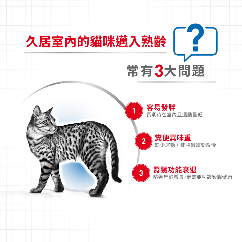 Royal Canin Indoor Senior Cat IN+7, , large