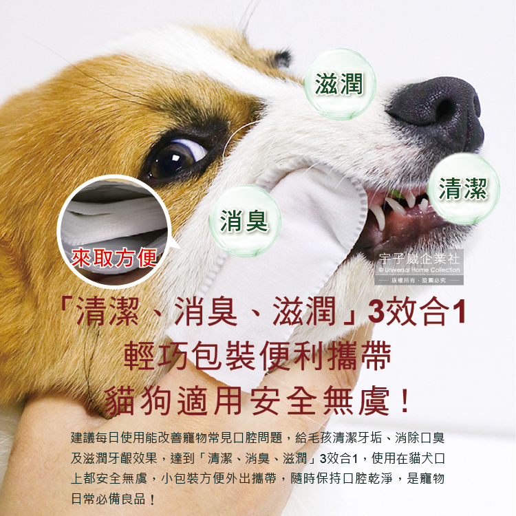KOJIMA Pet Finger Wipes 36pcs, , large