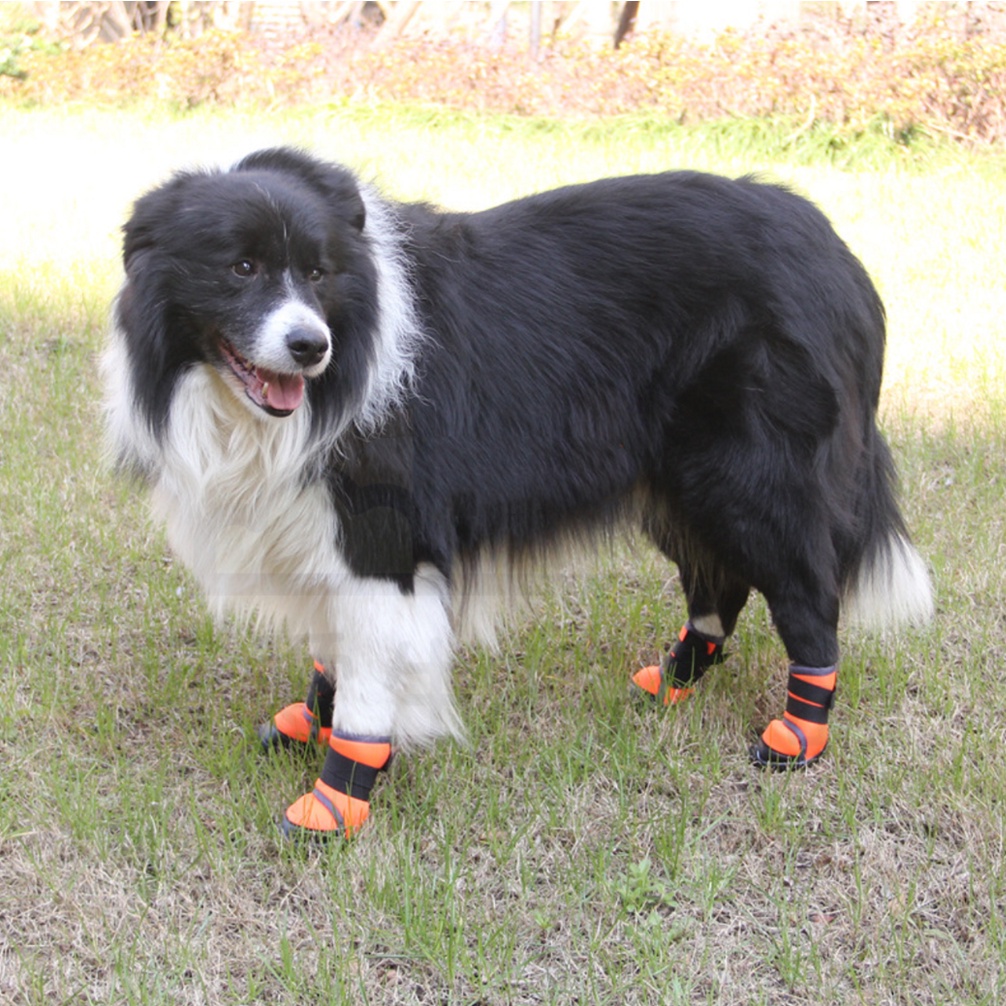 【寵愛生活本舖】寵物鞋子 寵物中筒防滑運動犬鞋 大狗鞋 狗狗鞋子, , large