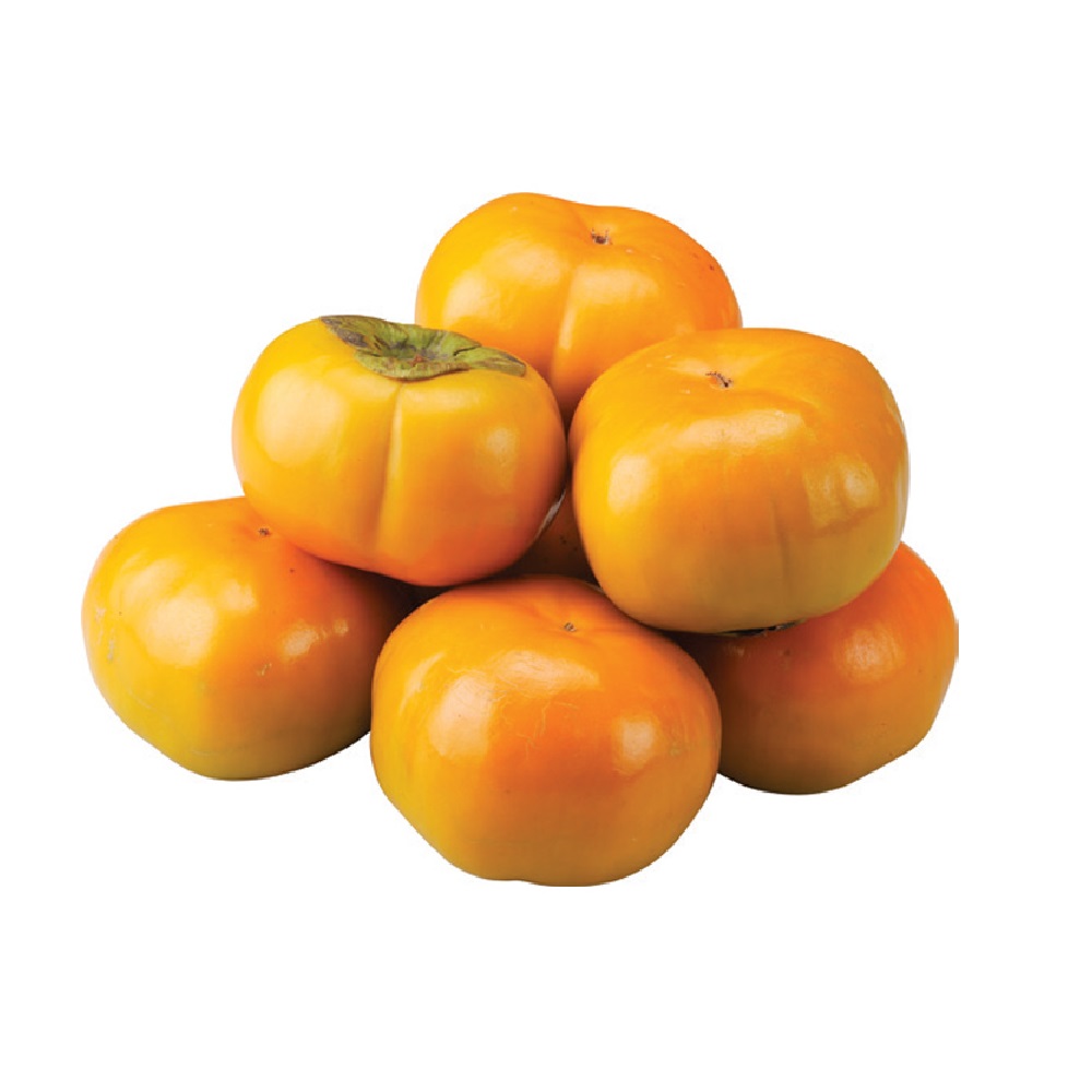 Fuyou Persimmon, , large