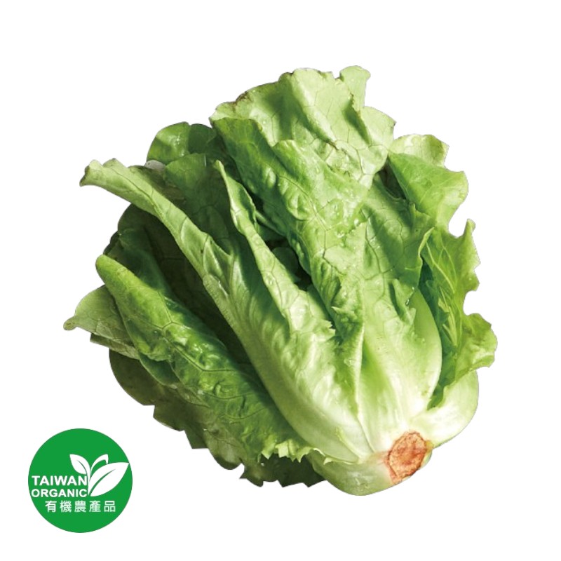 Organic Lettuce 250g, , large