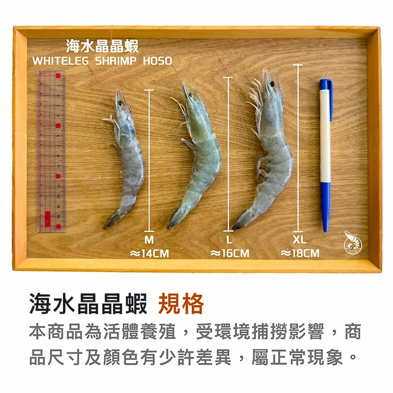 【一夫水產】【賞味期限2026.07.23】產銷履歷/海水晶晶蝦－M, , large