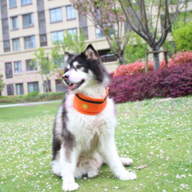 【寵愛生活本舖】中大型犬夏季防水涼感圍脖（含冰袋）素色, , large