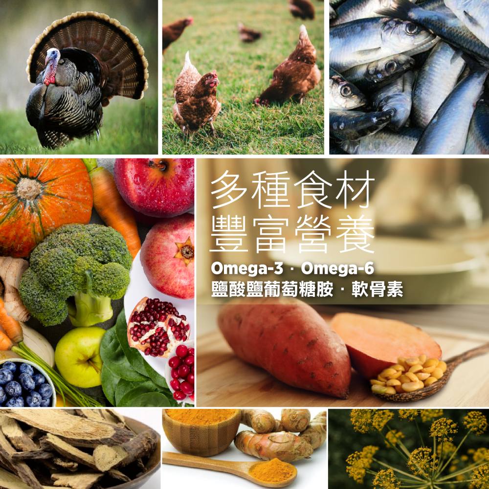 【拉拉寵物小舖】紐崔斯 貓飼料 養生無穀系列 無穀養生室內貓(火雞肉+雞肉+鴨肉)2.5公斤, , large