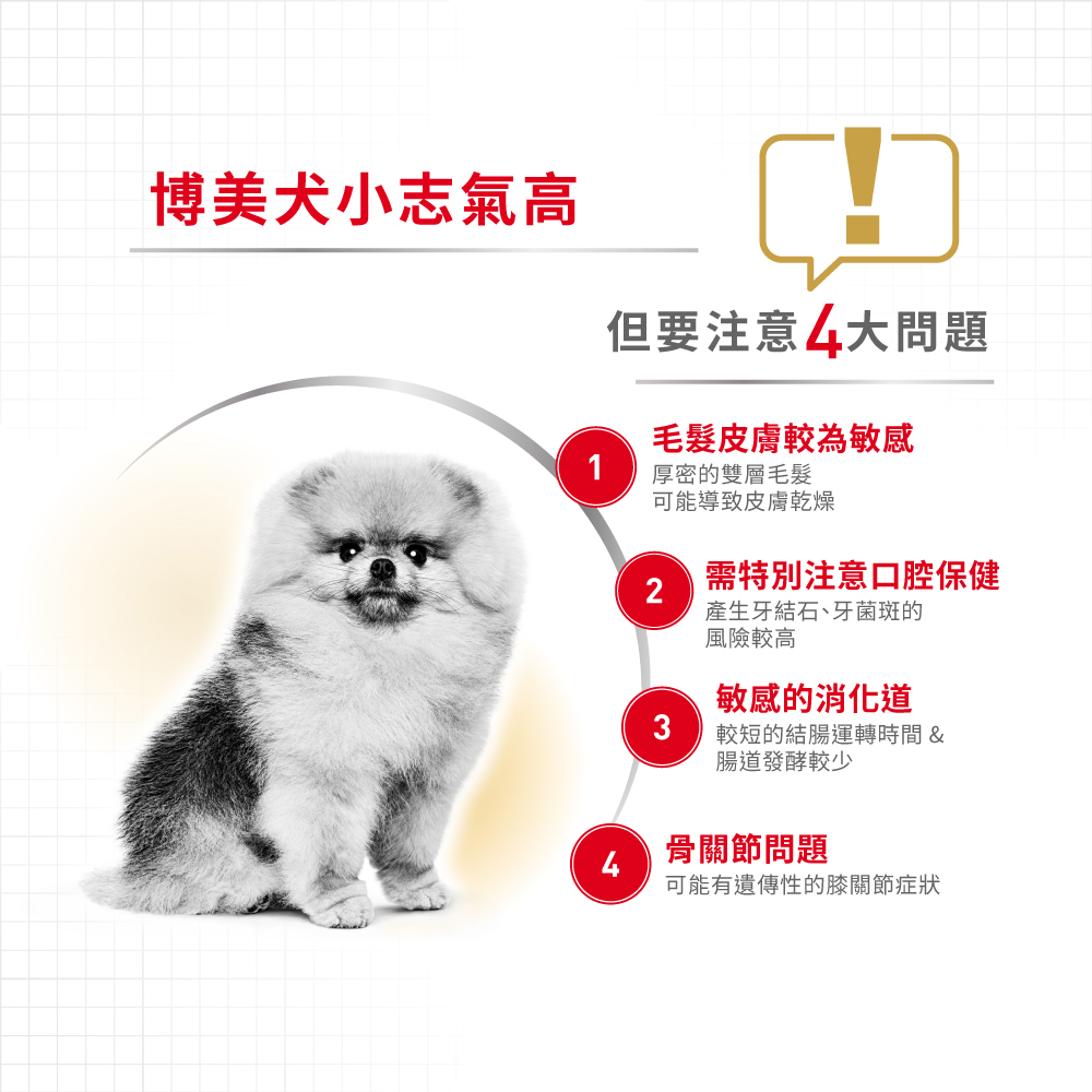 Royal Canin Pomeranian Adult PA, , large