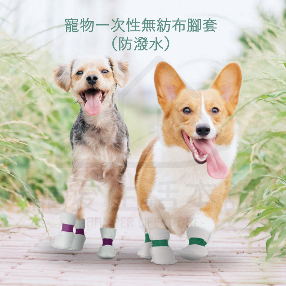 【寵愛生活本舖】寵物一次性腳套 寵物鞋 狗鞋 貓鞋 鞋套