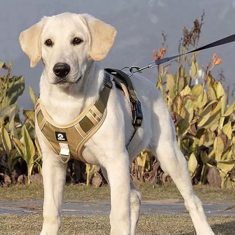 【舒適狗背心牽繩】可調節式 反光條 夜晚遛狗更安心 透氣舒適 鎖扣加厚 D環加粗 散步必備 牛津布 犬, , large