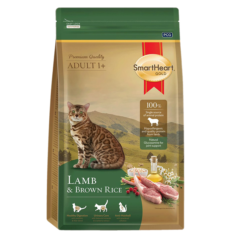 SmartHeart 慧心, , large