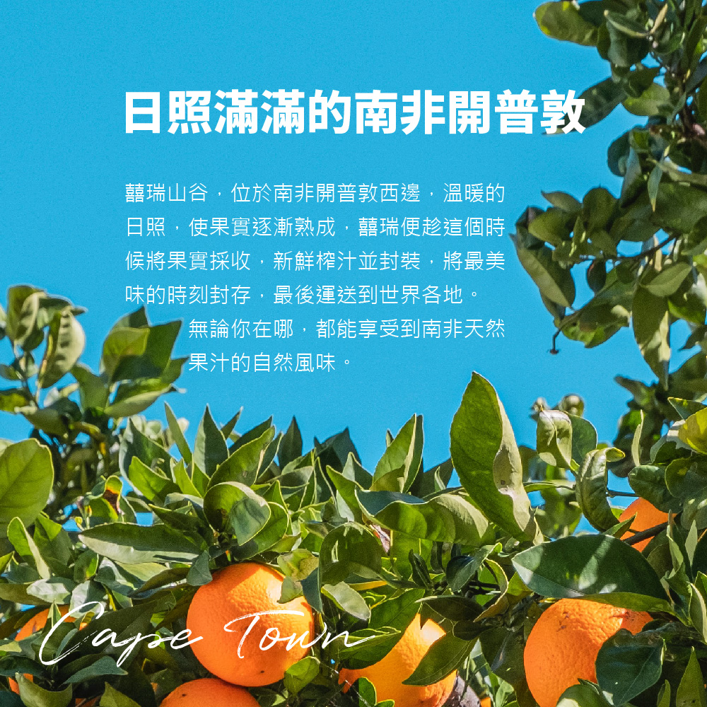 【囍瑞BIOES】100%純天然藍莓綜合原汁1000ml*12瓶, , large