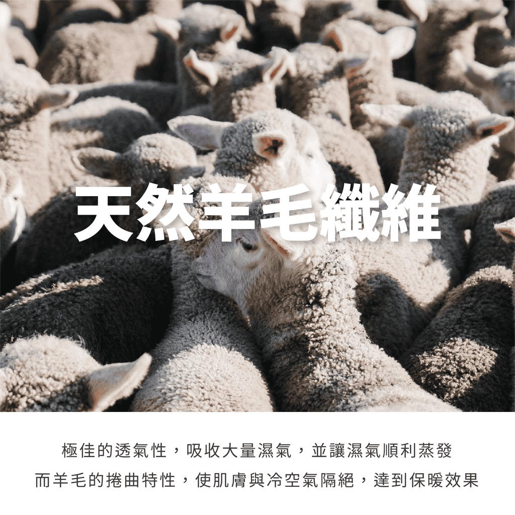 【Darphia 朵法亞】大和防蟎紐西蘭純羊毛冬被, , large