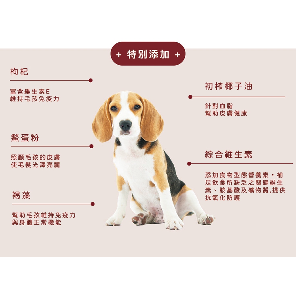 【XIN TOU ROU】Dog Fresh Meal Pouch &ndash; Green Curry Beef Filet &ndash; 150g (30 Pack), , large