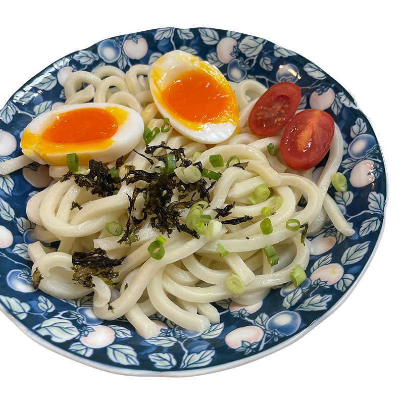 Udon Noodles, , large