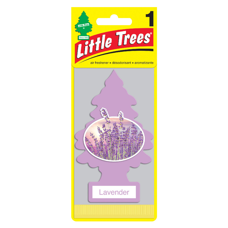 Little Tree, 薰衣草, large