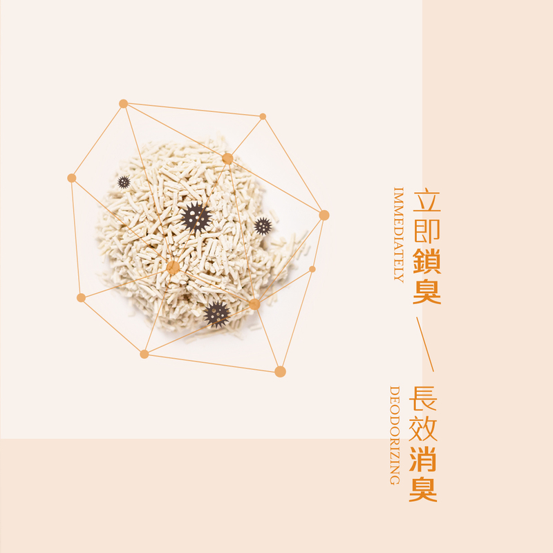 [祺城科技]O-Care【熱銷組】極消臭抗菌牡蠣殼豆腐砂(12入), , large