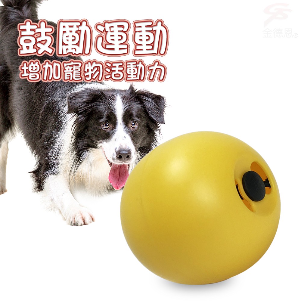 金德恩 GS MALL 台灣製造 寵物飼料點心盒 寵物雞蛋球 雞蛋球盒 點心盒 飼料盒 容器 飼料盒 LIXIT 雞蛋球造型, , large