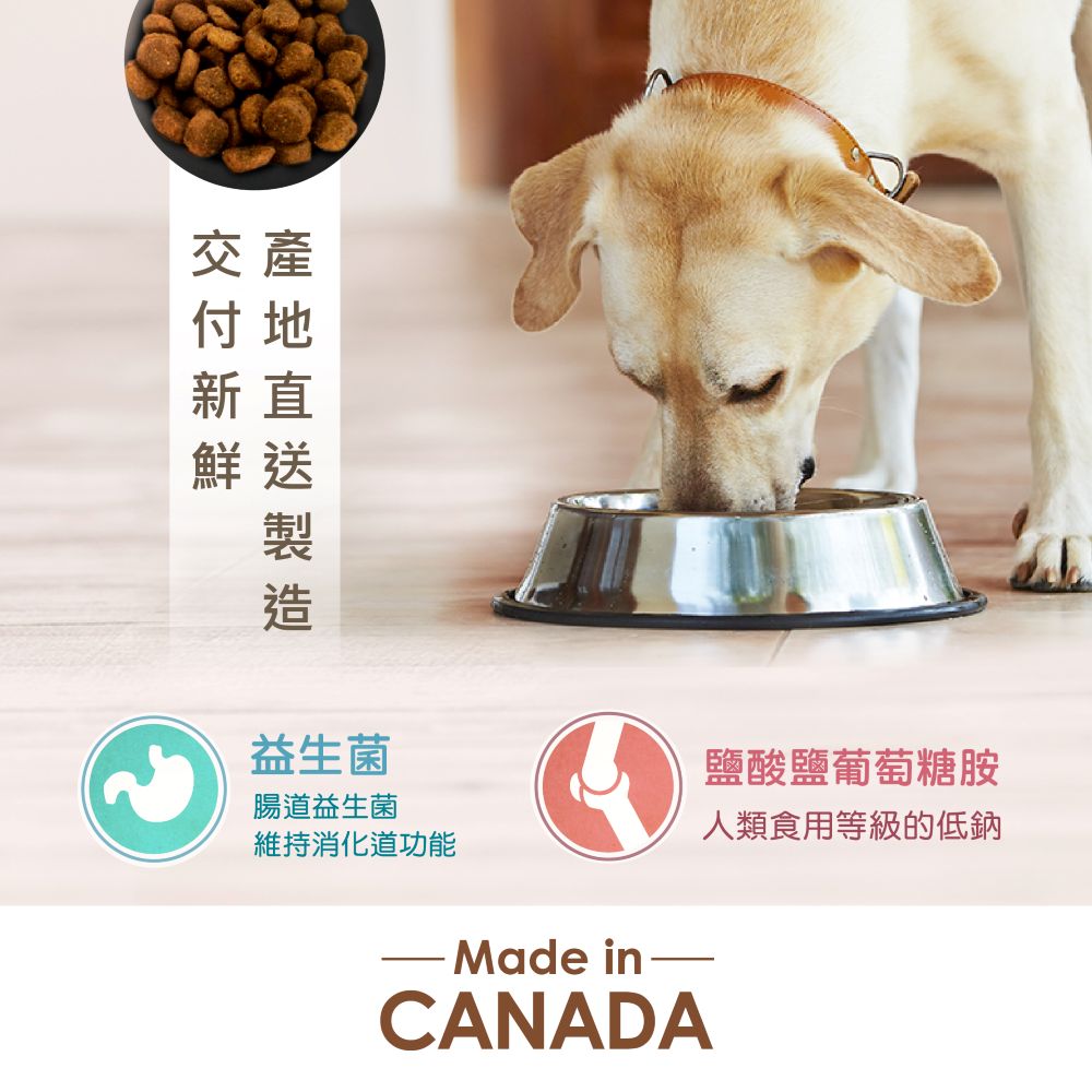 【拉拉寵物小舖】紐崔斯 貓飼料 養生無穀系列 無穀養生室內貓(火雞肉+雞肉+鴨肉)2.5公斤, , large