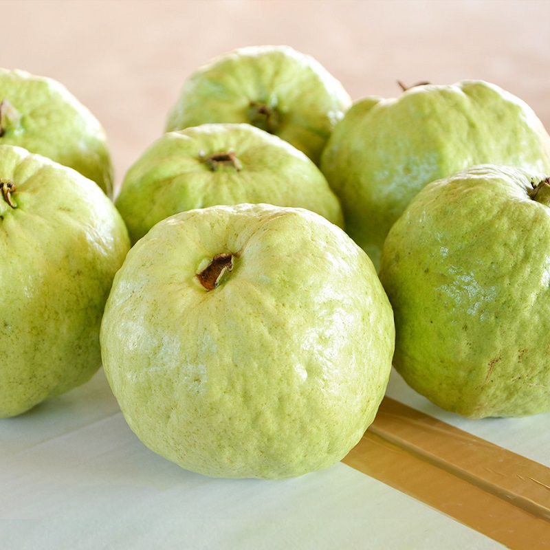 Organic Guava 4.8KG, , large