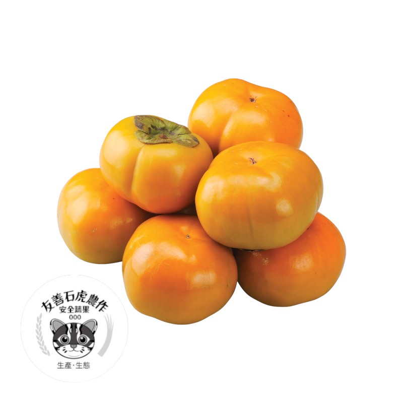 TAP Leopard Cat Persimmon, , large