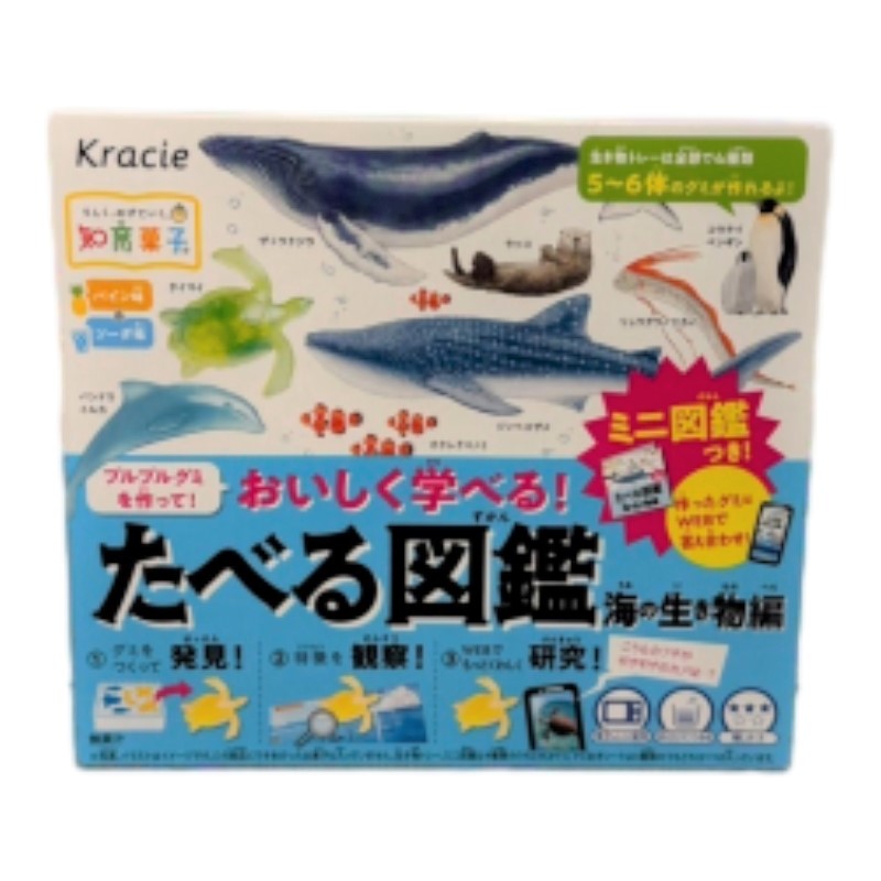 Kracie 創意DIY-海洋圖鑑小達人, , large