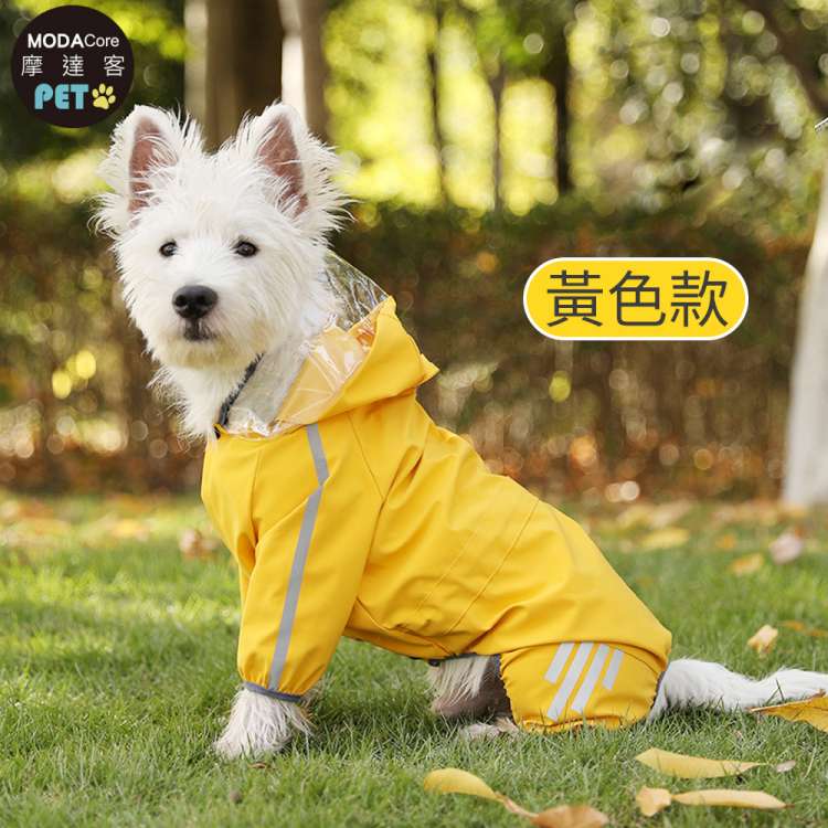 PET