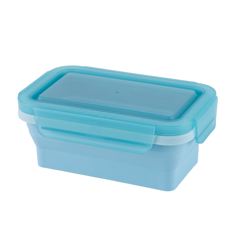 HOUSUXI Silicone Foldable Food Container, , large