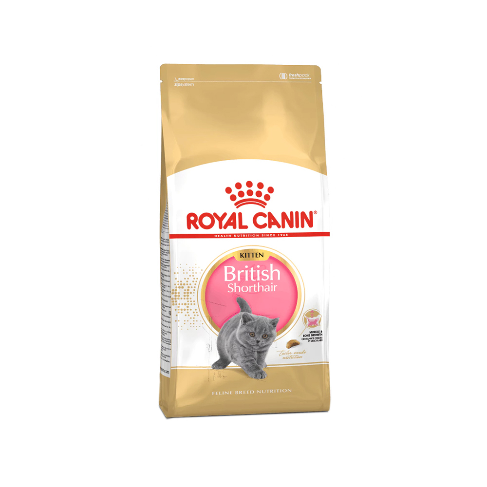 Royal Canin British Shorthair Kitten Food BSK38, , large