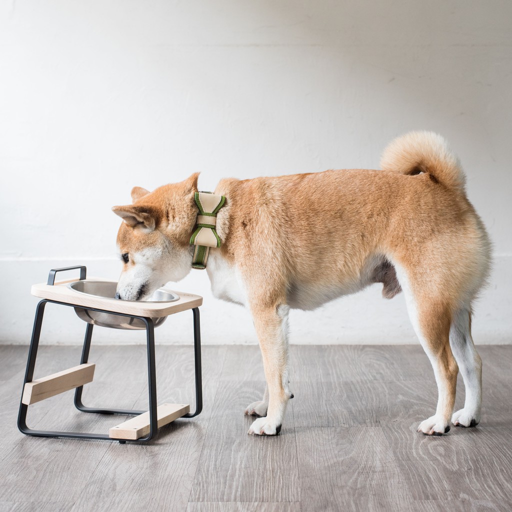 【paipaipets】 Natural Wood Elevated Pet Bowl - M/Maple