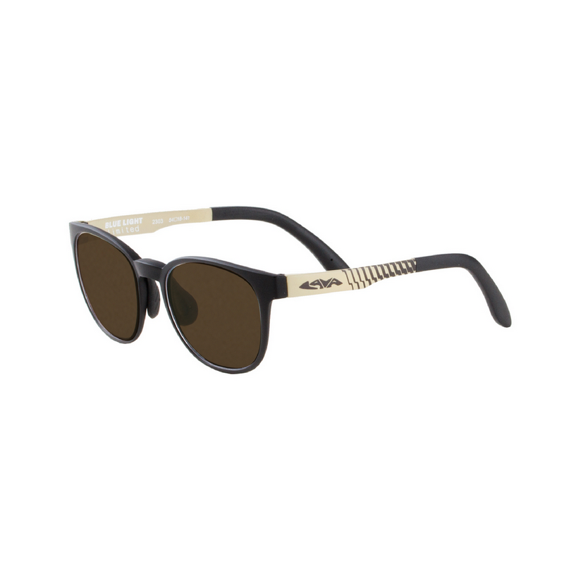 2303-Polarized Melanin glasses