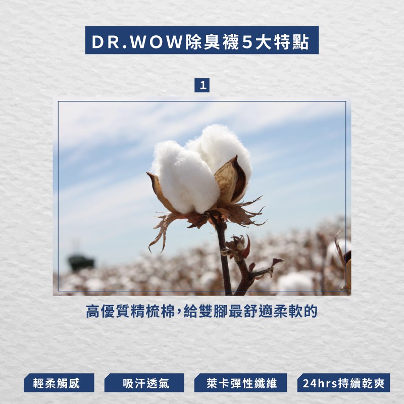 【現貨】MIT台灣製機能抗菌萊卡除臭襪氣墊長襪 P2235, , large