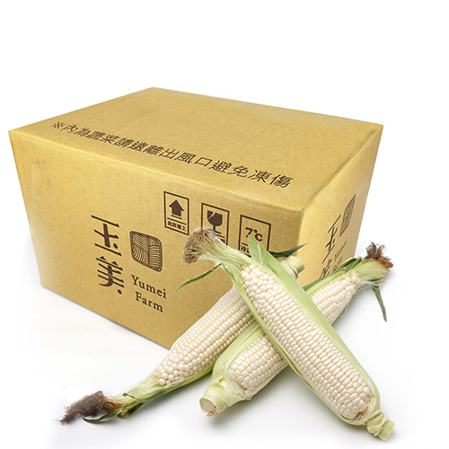 Sweet Corn, , large
