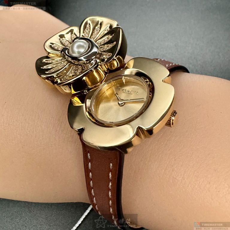 [TIMEMASTER] COACH watch, 28mm, CH00210, , large