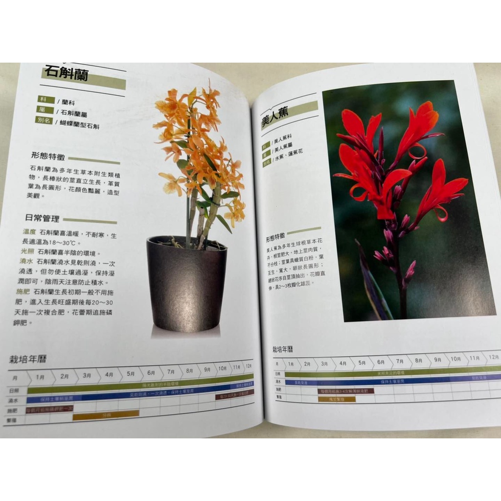 《南門書局》新手陽台種花+種菜+從菜場到餐桌, , large