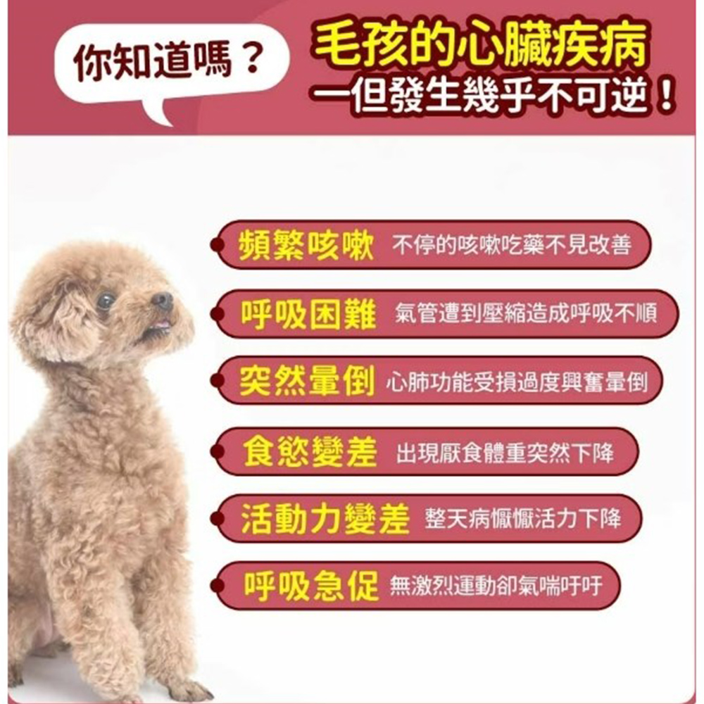 【毛孩時代】心臟專科保健粉 寵物保健品/貓狗心臟保健品(2盒/60入), , large