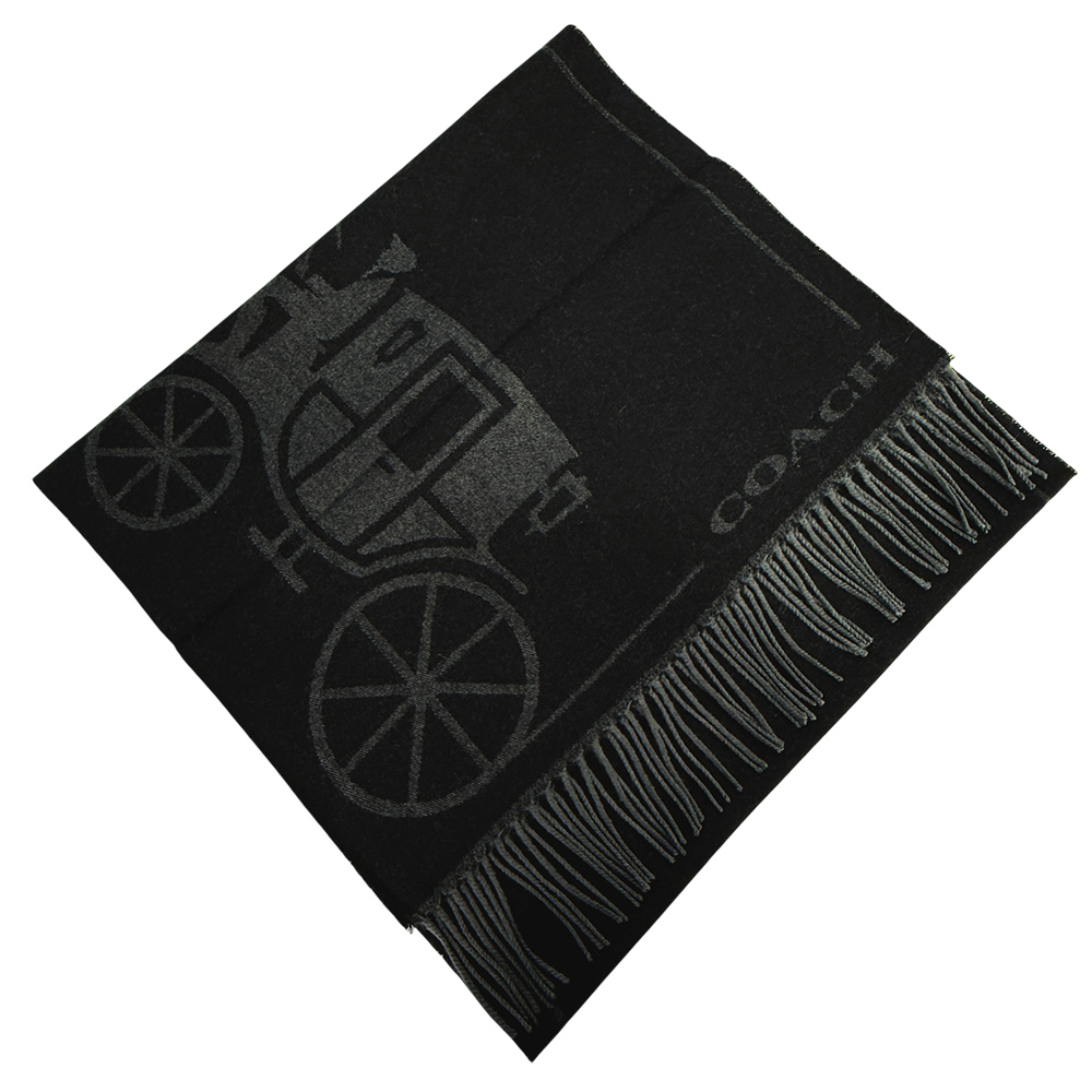  scarf, , large