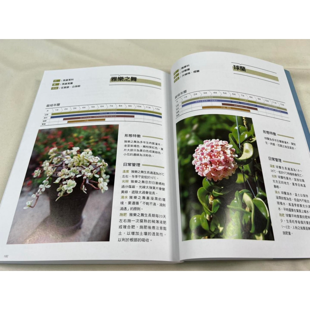 《南門書局》新手陽台種花+種菜+從菜場到餐桌, , large