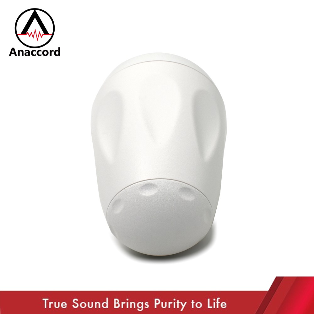 Anaccord雅那歌音響 HT-40 Eclipse IPX66 waterproof multi-install wall mount speakers 1pair+bracket , , large