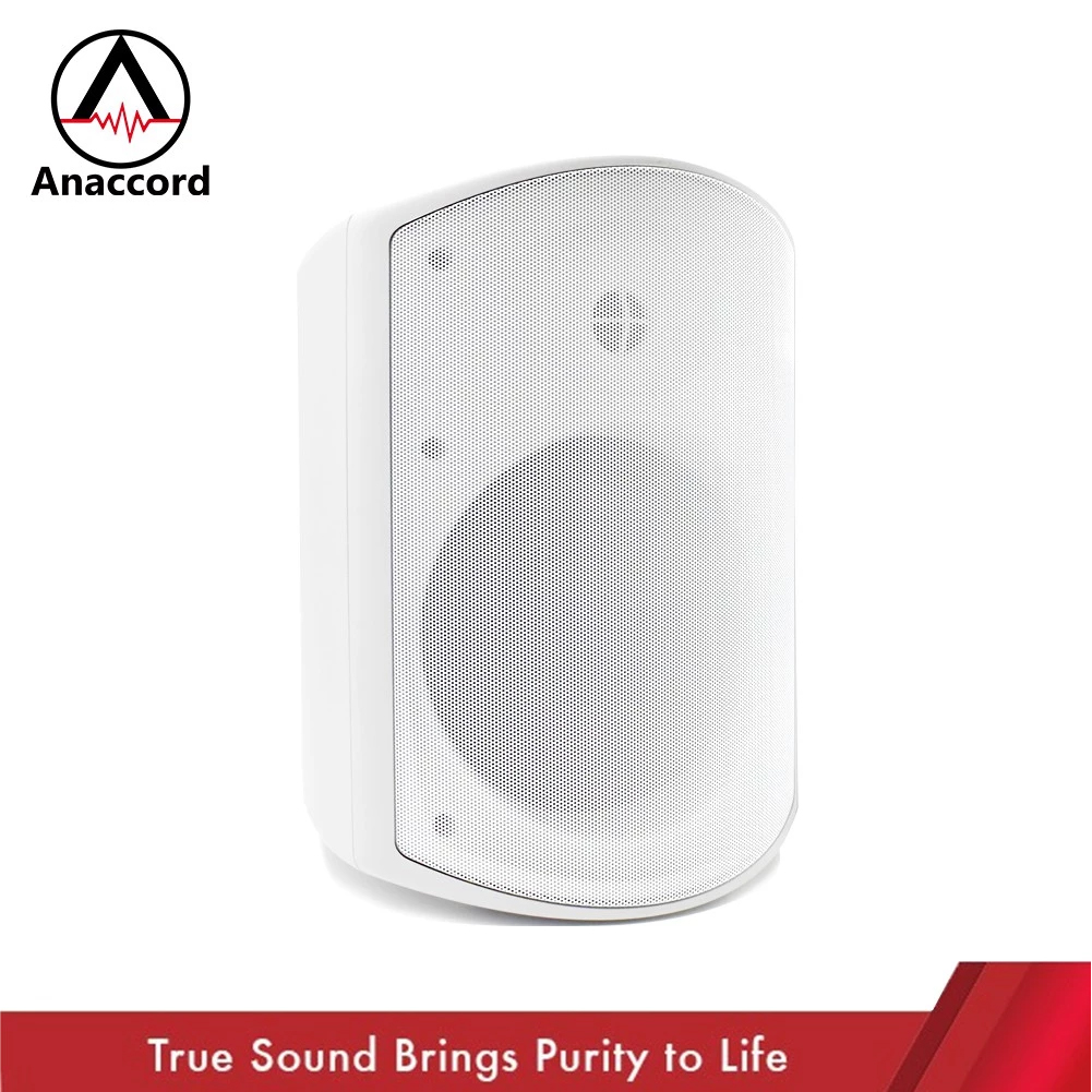 Anaccord雅那歌音響 DG-60T 6inch IPX66 waterproof outdoor wall mount PA speakers  40W 1pair, , large
