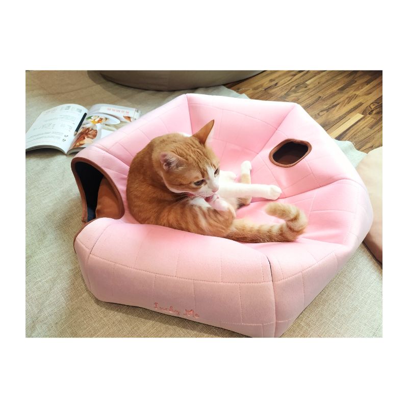 Cat bed with spacious space, , large