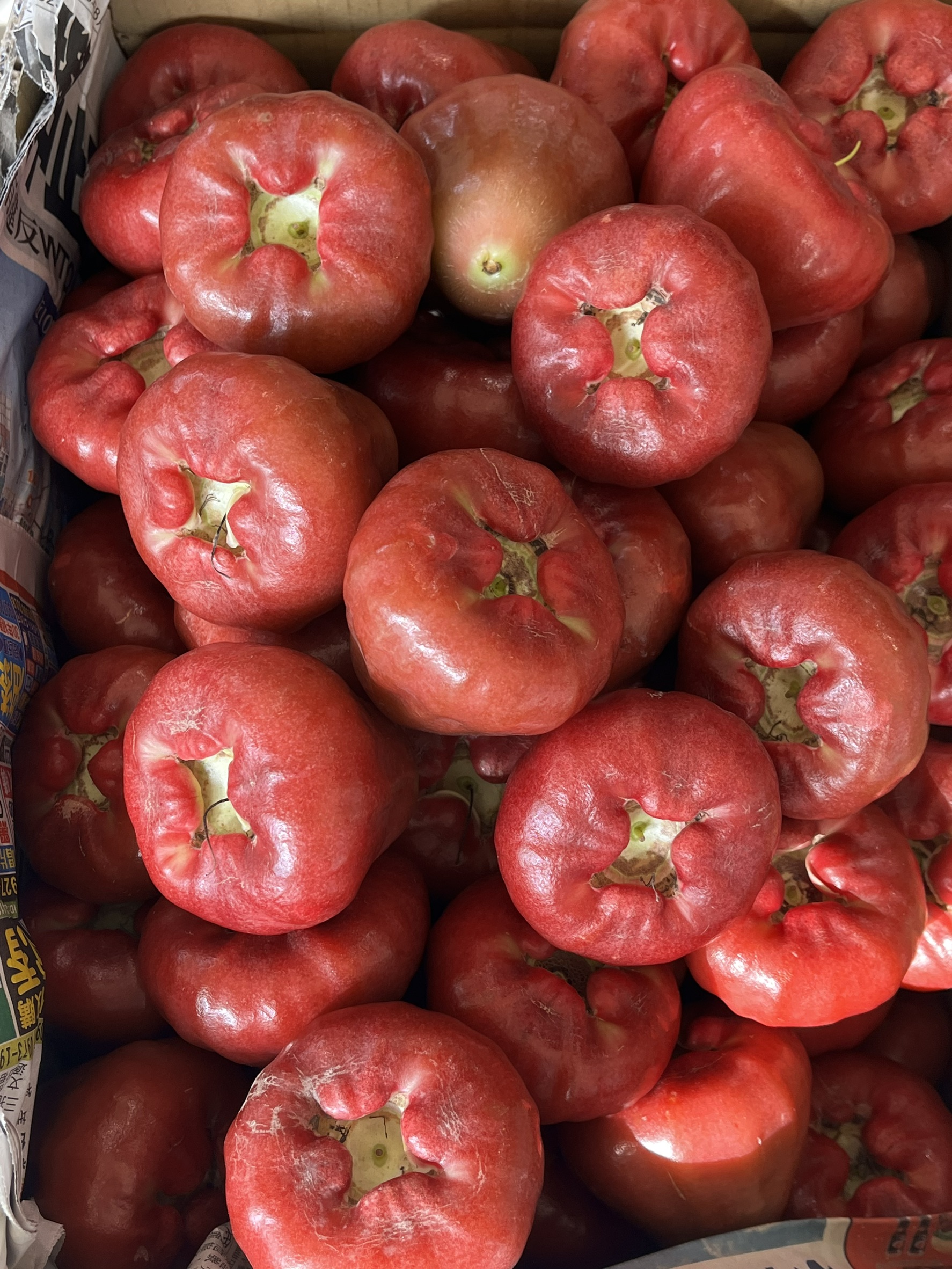 [芯鮮果]台灣嚴選( 黑珍珠蓮霧 ), , large