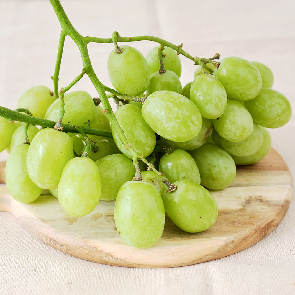 [馥果FruitGo]智利 頂級秋脆無籽葡萄