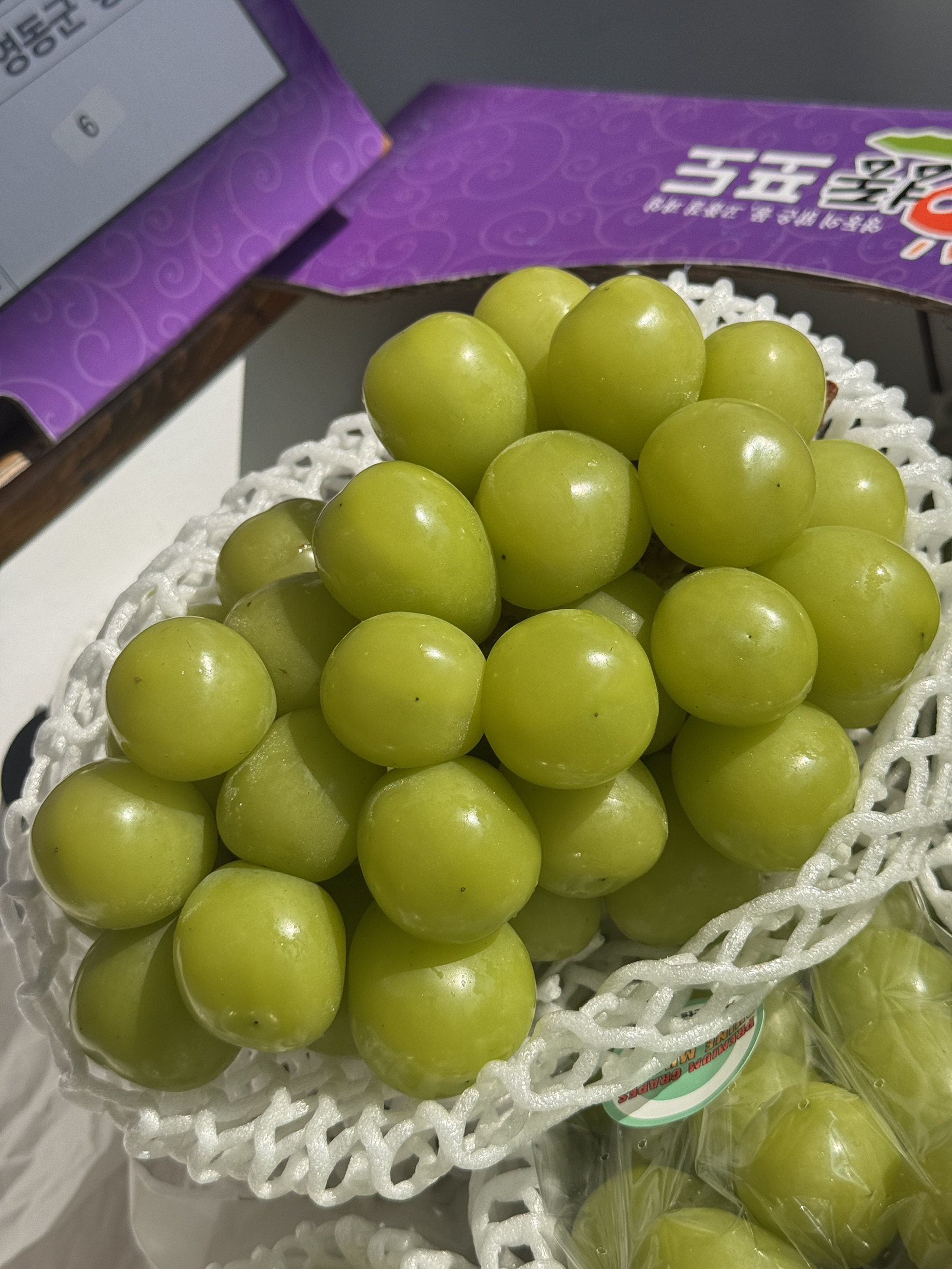  Korean Shine Muscat, , large