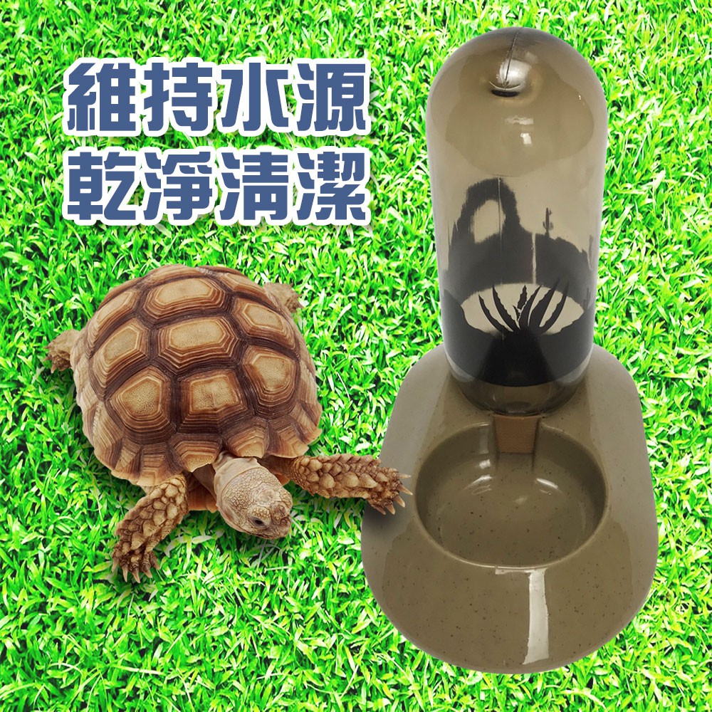 金德恩 GS MALL 台灣製造 LIXIT 兩棲爬蟲飲水器 480cc 兩棲飲水器 爬蟲飲水器 飲水器 餵食 飲水 寵物飲水器, , large