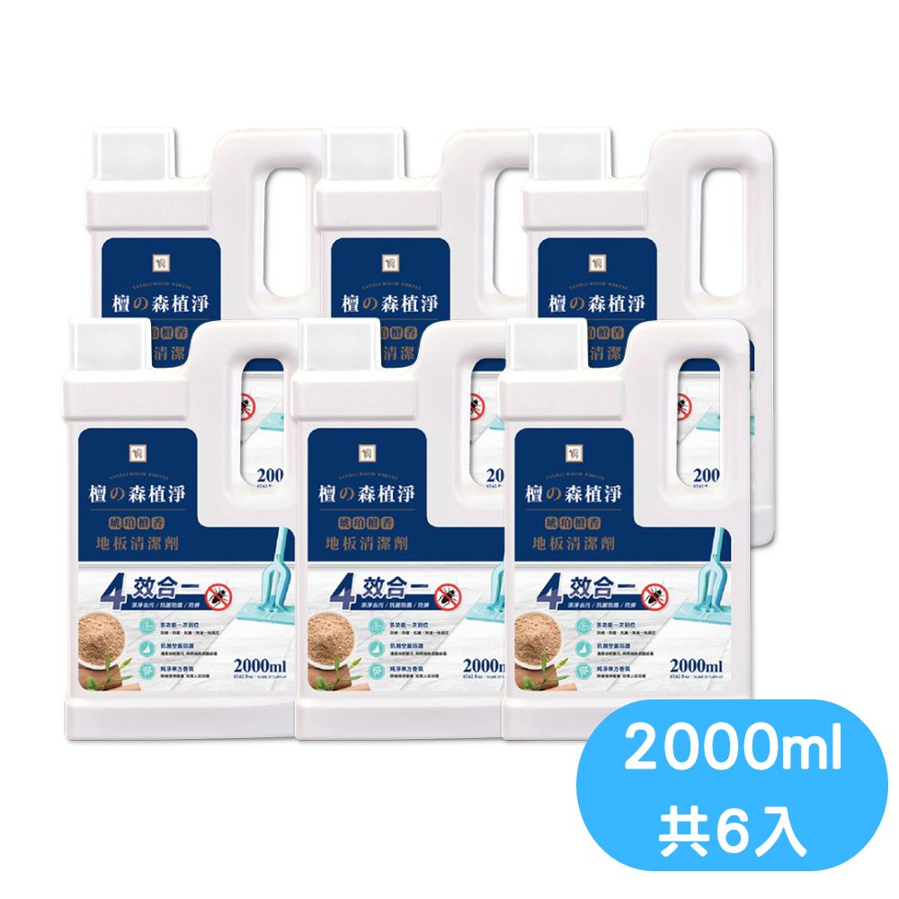 Amber Sandalwood Antibacterial Floor Cleaner - 2000ml x 6